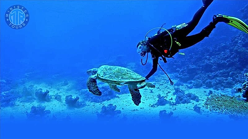 Tüplü dalış turu