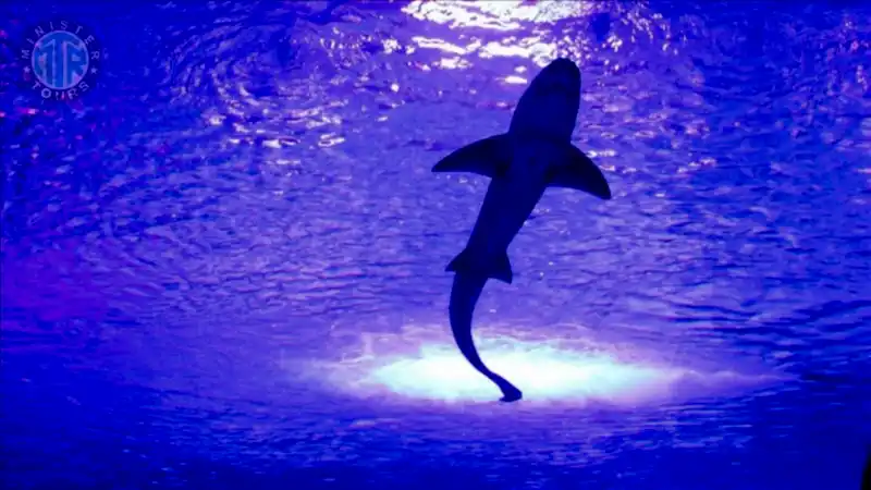 Akvaryum bilet fiyatları