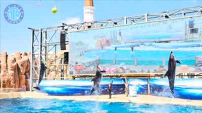 Tour to The Land of Legends Water Park from Evrenseki