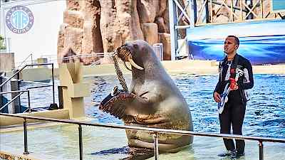 Manavgat'tan The Land of Legends Theme Park