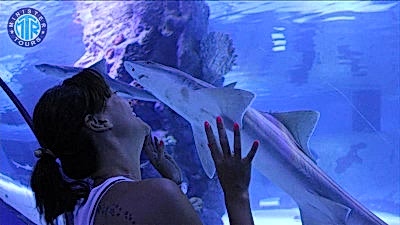 Kizilot Aquarium