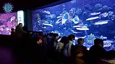 Manavgat'tan Antalya Akvaryum Turu