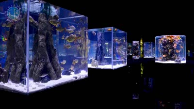 Kızılot'tan Antalya Akvaryum Turu