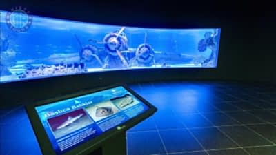 Kumköy'den Antalya Akvaryum Turu