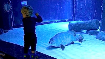 Sorgun'dan Antalya Akvaryum Turu