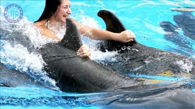 Swim with dolphins in Kizilagac