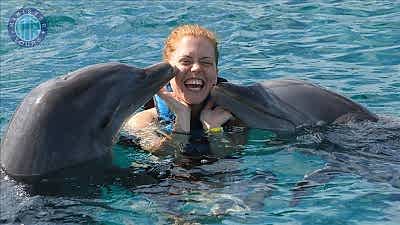 Swim with dolphins in Manavgat