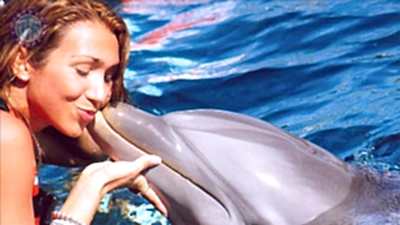 Swim with dolphins Evrenseki
