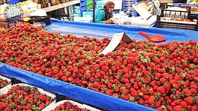 Kızılot'den Manavgat tekne turu