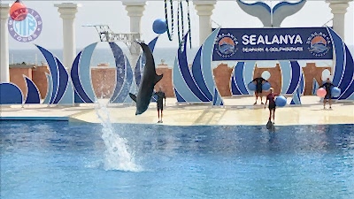 Delfinariumas Sealanya iš Titreyengol