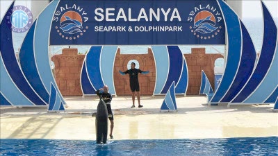 Alanya dolphin show from Manavgat