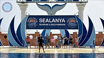 Alanya dolphin show from Kumkoy
