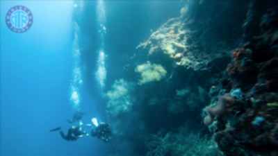 Nurkowanie w Alanyi z Sorgun