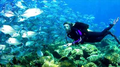 Alanya diving from Manavgat
