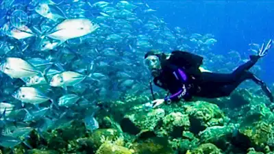 Side'den Alanya tüplü dalış turu