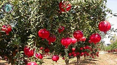 Jeepsafari Bogazkent