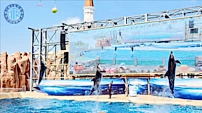 Serik'ten The Land Of Legends Theme Park