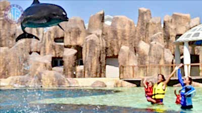 Kadriye'den The Land Of Legends Theme Park