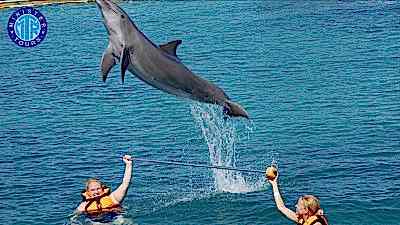 Belek Yunus gösterisi