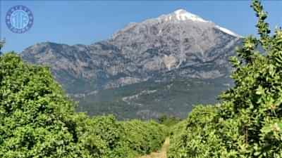 Tahtali Cable Car from Bogazkent