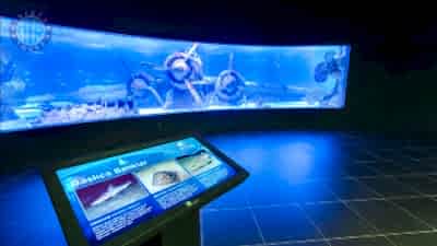 From Kadriye to Antalya Aquarium