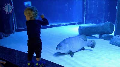 Serik'ten Antalya Aquarium Tünel Akvaryumu