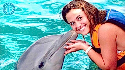 Serik dolphin swimming