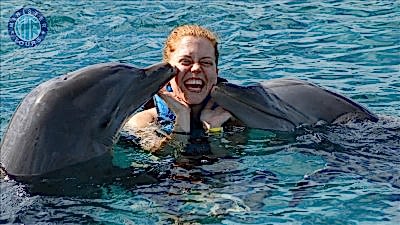 Dolfijn zwemmen Bogazkent