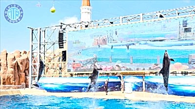 Göynük'den The Land Of Legends Theme Park