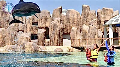 Water park The Land of Legends from Camyuva