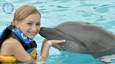 Kemer Yunuslarla Yüzme