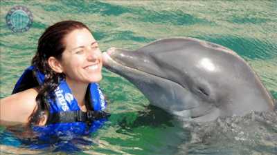 Pływanie z delfinami w Kiris