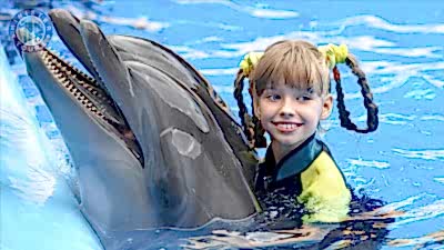 Tekirova dolphin swimming