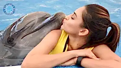 İstanbul Yunuslarla Yüzme