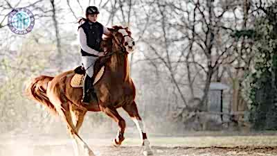 Horse riding in Konyaalti