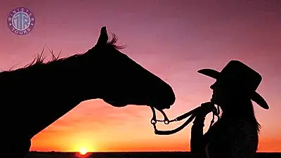 Antalya At Binme Turu