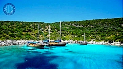 Bodrum Orak adası tekne turu