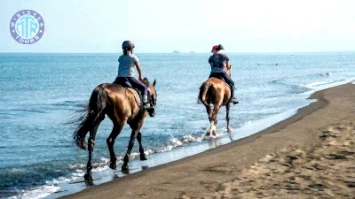 Kusadasi horse riding