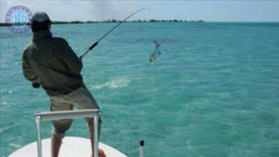 Fishing tour in Kiris