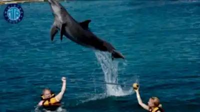 Kemer Yunus Gösterisi