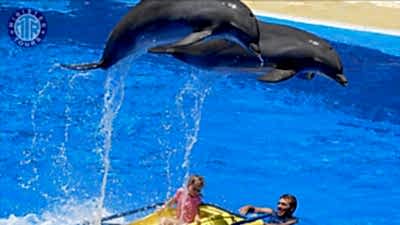 Dolphin park from Goynuk