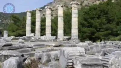 Kusadasi to Priene, Miletus, Didyma