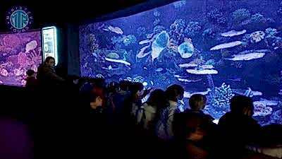 Çamyuva'dan Antalya Aquarium