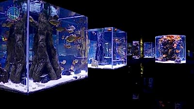 Göynük'den Antalya Aquarium