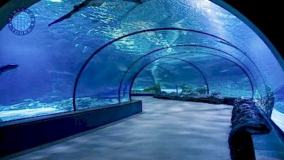 Turkler aquarium