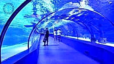Kestel aquarium
