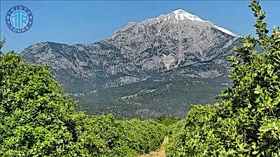 Antalya teleferik Tahtalı