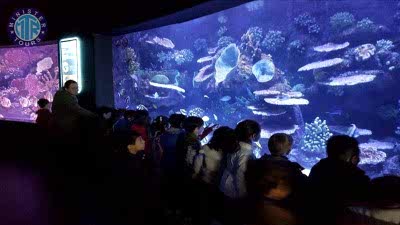 Konyaalti aquarium