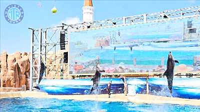 Kundu'dan The Land Of Legends Theme Park