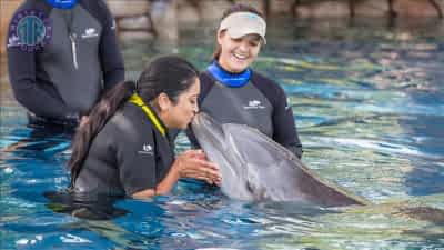 Nager avec les dauphins Kundu